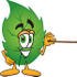 #24529 Clip Art Graphic of a Green Tree Leaf Cartoon Character Holding a Pointer Stick by toons4biz
