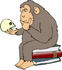 #30958 Clip Art Graphic of a Cartoon Parody of Rheinhold’s "Philosophizing Monkey" Showing a Chimp Holding a Skull and Sitting on Books by DJArt