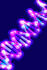 #31465 DNA Double Helix 3D Illustration by Oleksiy Maksymenko