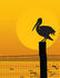 #33555 Clip Art Graphic of a Silhouetted Pelican Bird Perched On A Post At Sunset by Maria Bell