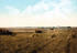 #40956 Stock Photo Of Farmers Harvesting A Crop Field In South Dakota by JVPD