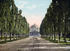 #41011 Stock Photo Of A Tree Lined Road And Sidewalks Leading To The Domed Salt Palace, Salt Lake City, Utah by JVPD