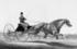 #41317 Stock Illustration of a Man, Robert Bonner, In A Cart, Being Pulled By A Running Horse by JVPD