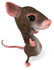 #43021 Royalty-Free (RF) Cartoon Clipart Illustration of a 3d Mouse Mascot Giving The Thumbs Up - Pose 4 by Julos