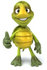 #43060 Royalty-Free (RF) Cartoon Clipart of a 3d Turtle Mascot Facing Front And Giving The Thumbs Up by Julos