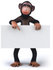 #43428 Royalty-Free (RF) Illustration of a 3d Chimpanzee Mascot Pointing To And Holding A Blank Sign by Julos