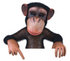#43431 Royalty-Free (RF) Illustration of a 3d Chimpanzee Mascot Pointing Down At And Holding Up A Sign by Julos