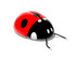 #44375 Royalty-Free (RF) Illustration of a 3d Shiny Ladybug - Pose 1 by Julos