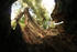 #444 Photograph From Inside a Hollowed Redwood Tree by Jamie Voetsch