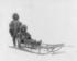 #4897 Couple on a Dog Sled by JVPD