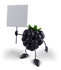#50768 Royalty-Free (RF) Illustration Of A 3d Blackberry Mascot Holding Up A Blank Sign - Version 2 by Julos