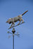 #53739 Royalty-Free Stock Photo of a Dog Weathervane by Maria Bell