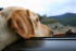 #577 Photo of a Yellow Lab Dog Sticking His Head Out a Car Window by Jamie Voetsch
