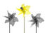 #584 Picture of a Yellow Pinwheel With Black and White Ones by Jamie Voetsch