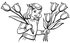 #61850 Clipart Of A Retro Girl Holding Tulip Flowers In Black And White - Royalty Free Vector Illustration by JVPD