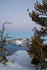 #630 Photograph of Trees and a Full Moon at Crater Lake by Jamie Voetsch