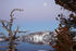 #631 Photograph of Trees Framing a Full Moon Over Crater Lake by Jamie Voetsch