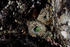 #695 Image of Closed Sea Anemones at Low Tide by Jamie Voetsch