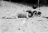 #7832 Photo of People Sleeping on the Beach, Coney Island by JVPD