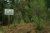 #820 Photography of a Pet Abandonment Sign in a Forest by Kenny Adams
