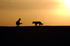 #8930 Picture of a Man and Dog at Sunset by JVPD