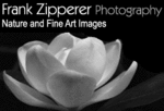 Frank Zipperer Photography