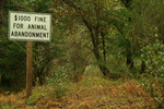 Animal Abandonment Warning Sign