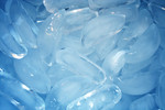 Blue Ice Cubes