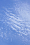 Whispy Clouds in a Blue Sky