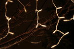 Christmas Lights and Snow Covered Tree Branches at Night