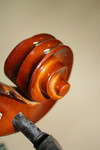 Tuning Pegs and Scroll on a Viola