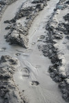 Footprints in the Mud at Copper Boat Ramp, Applegate Lake, Oregon
