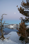 Trees and a Full Moon at Crater Lake
