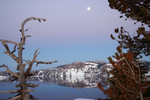 Trees Framing a Full Moon Over Crater Lake