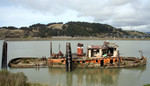 The Mary D Hume, Port of Gold Beach, Oregon