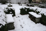 Two Benches and a Birdbath Covered in Snow