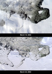 Icebergs Adrift in the Amundsen Sea