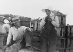 Japanese Agricultural Workers