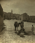 Bethlehem Street Scene With Camel