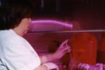 Lab Technician Testing Chicken Egg Inoculations