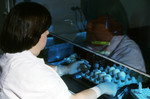 Lab Technician Marking Specimens During A Chicken Egg Inoculation Experiment