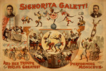 Signorita Galetti And Monkeys