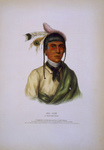 Chippewa Chief No-Tin