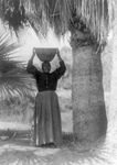 Cahuilla Woman With Basket on Her Head