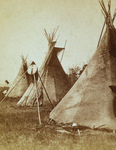 Nez Perce Indian Tipis