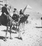 Men and Camels by the Pyramids