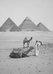 Resting Camels and Men Near the Egyptian Pyramids
