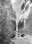 Siq Entrance to Petra