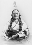 Sitting Bull Holding a Calumet