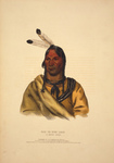 Sioux Indian Chief, Esh-Ta-Hum-Leah